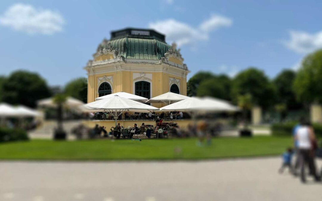 Update zum offenen Brief an den Tiergarten Schönbrunn