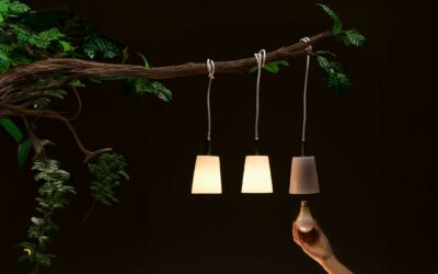 Die neuen Kategorien auf Offen Gesprochen – ein wichtiger Schritt für mehr Klarheit